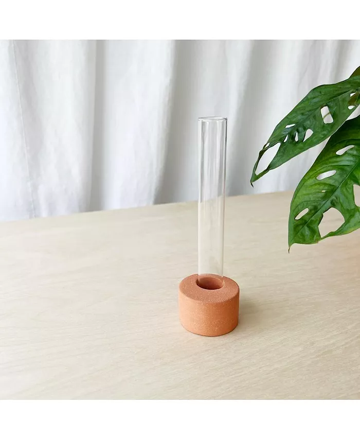 Tierra Sol Studio Plant Propagation Vessel - Terracotta 6.5 in - Intensery