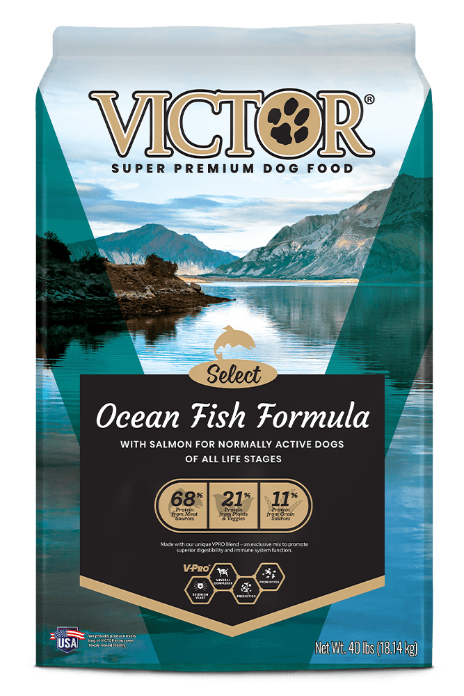 Victor Select Ocean Fish Formula Dry Dog Food - 15 lb Bag - Intensery