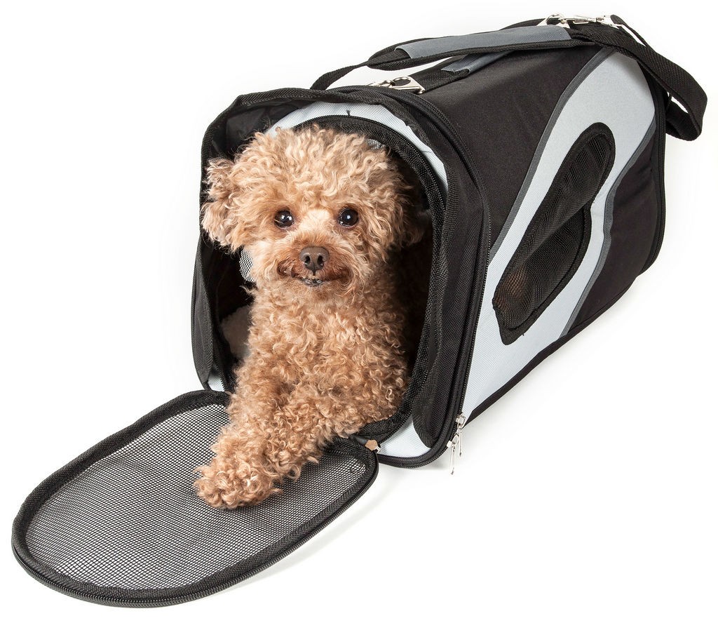 Pet Life Airline Approved Phenom-Air Collapsible Pet Carrier in Black. White (One Size) - Pet Life B38BKWLG - Intensery