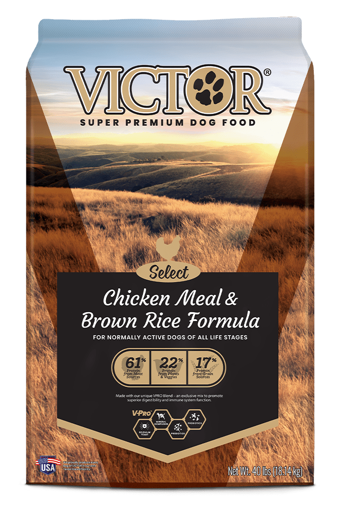 Victor Select Chicken Meal and Brown Rice Formula Dry Dog Food - 40 lb Bag - Intensery