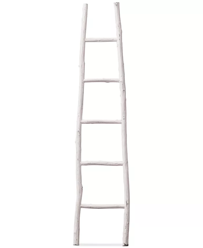 3R Studio  Decorative Painted Wood Ladder - Intensery
