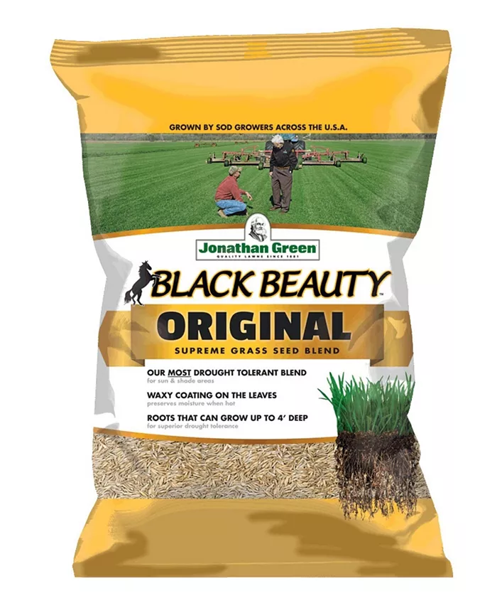 Jonathan Green (#10315) Black Beauty Original Grass Seed， 25 lb bag - Intensery