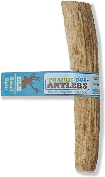 Prairie Dog Split Elk Antler Dog Chews， 4 - 5.5 in - Intensery