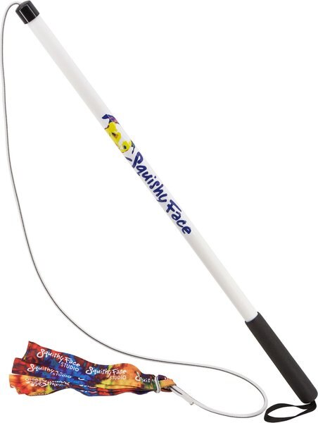 Squishy Face Studio Flirt Pole V2 with Lure Squeaky Dog Toy - Intensery