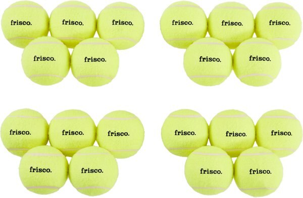 Frisco Fetch Squeaking Tennis Ball Dog Toy - Intensery