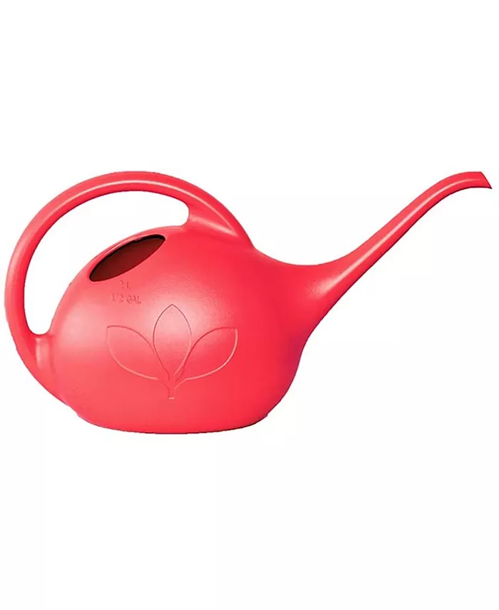 Novelty Indoor Plastic Long Spout Watering Can， Red， 0.5 Gallon - Intensery