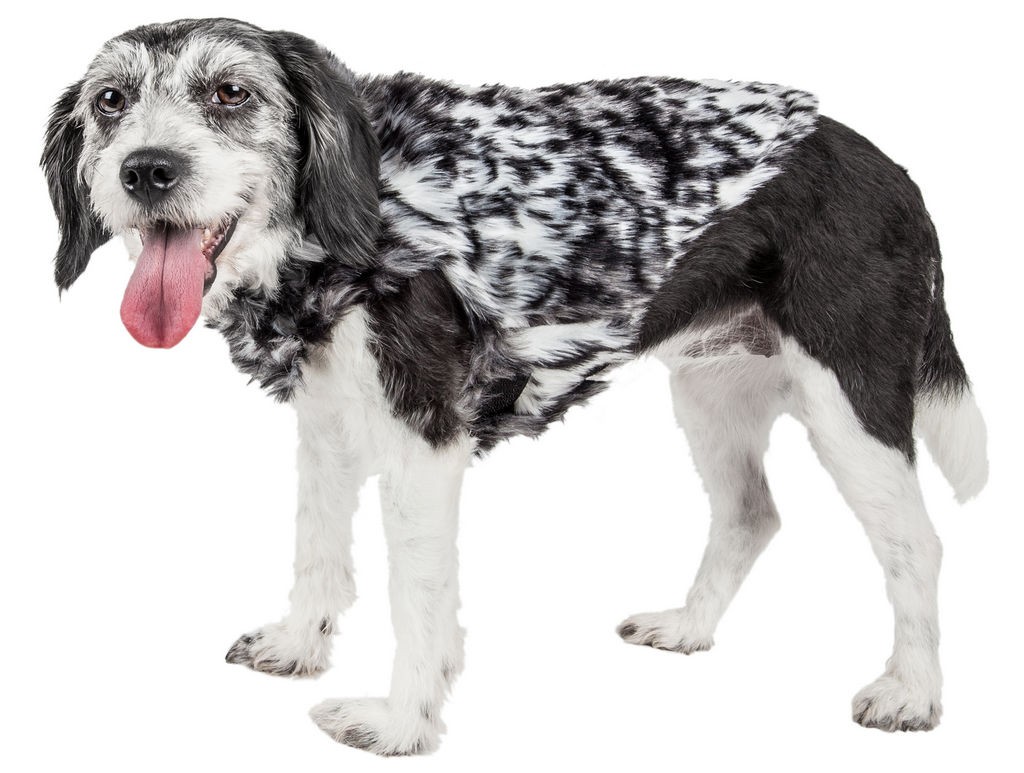 Pet Life Luxe 'Paw Dropping' Designer Gray-Scale Tiger Pattern Mink Fur Dog Coat Jacket in Black And Grey (X-small) - Pet Life 41BGXS - Intensery