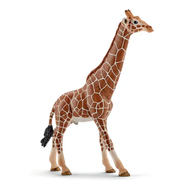 Schleich Wild Life Giraffe Male - Intensery