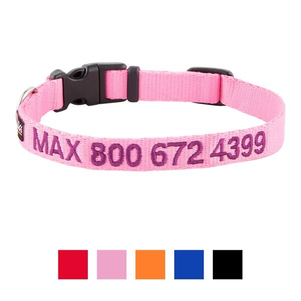 GoTags Nylon Personalized Dog Collar - Intensery