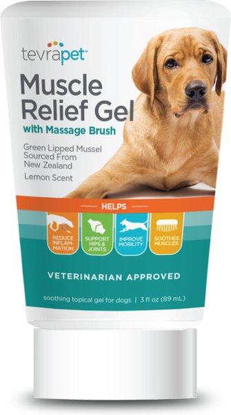 TevraPet Muscle Relief Gel with Massage Brush for Dogs， 3-oz. tube - Intensery