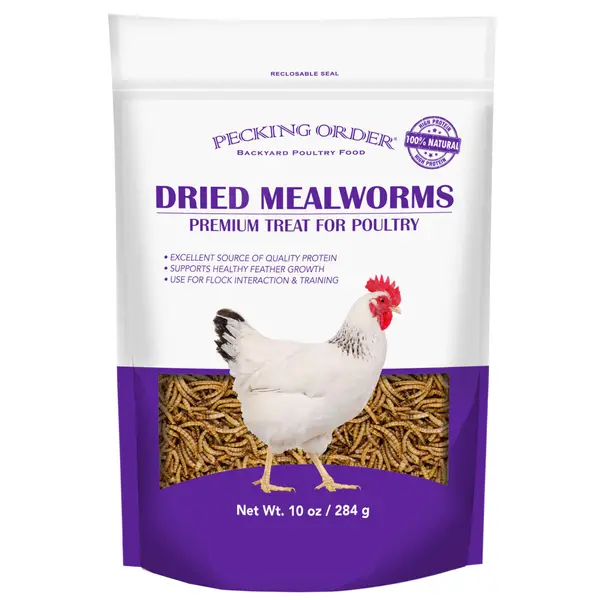 Pecking Order Mealworm Treat - Intensery