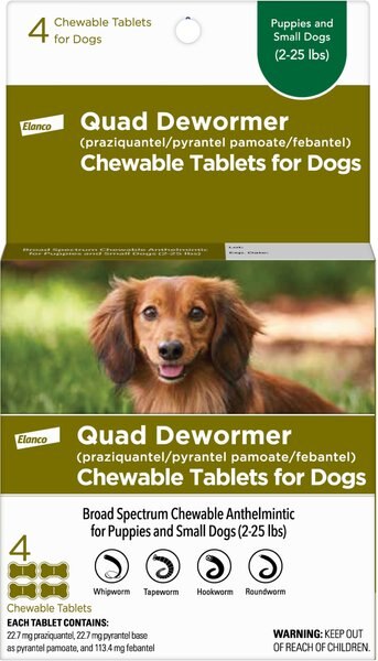 Elanco Quad Dewormer for Hookworms， Roundworms， Tapeworms and Whipworms for Small Breed Dogs - Intensery