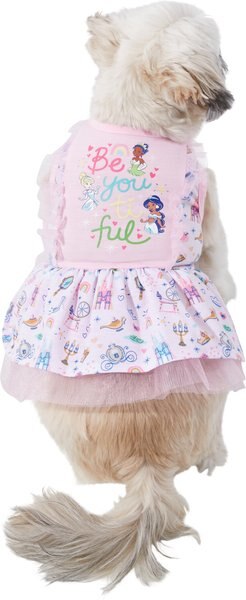Disney Princesses \ - Intensery