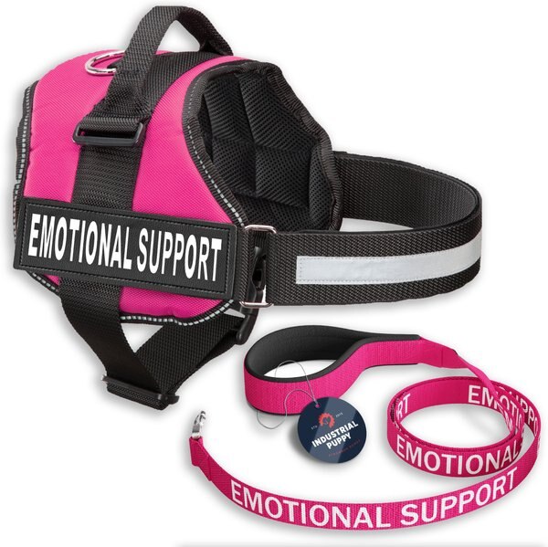 Industrial Puppy Emotional Support Animal (ESA) Reflective Dog Harness and Leash - Intensery
