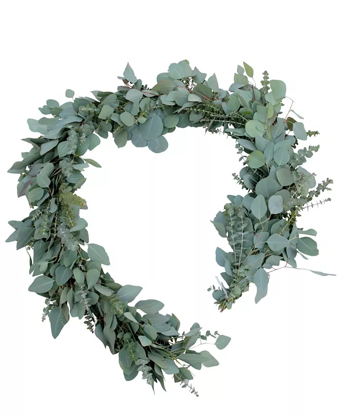 Magnolia Supply Co Fresh Baby Blue and Silver Dollar Eucalyptus Garland， 6' - Intensery