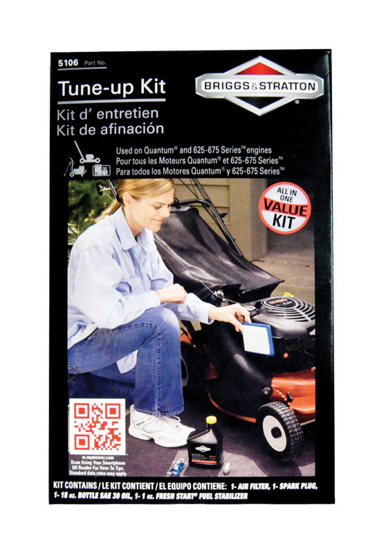 Briggs \u0026 Stratton Tune-Up Kit 1 pk - Intensery