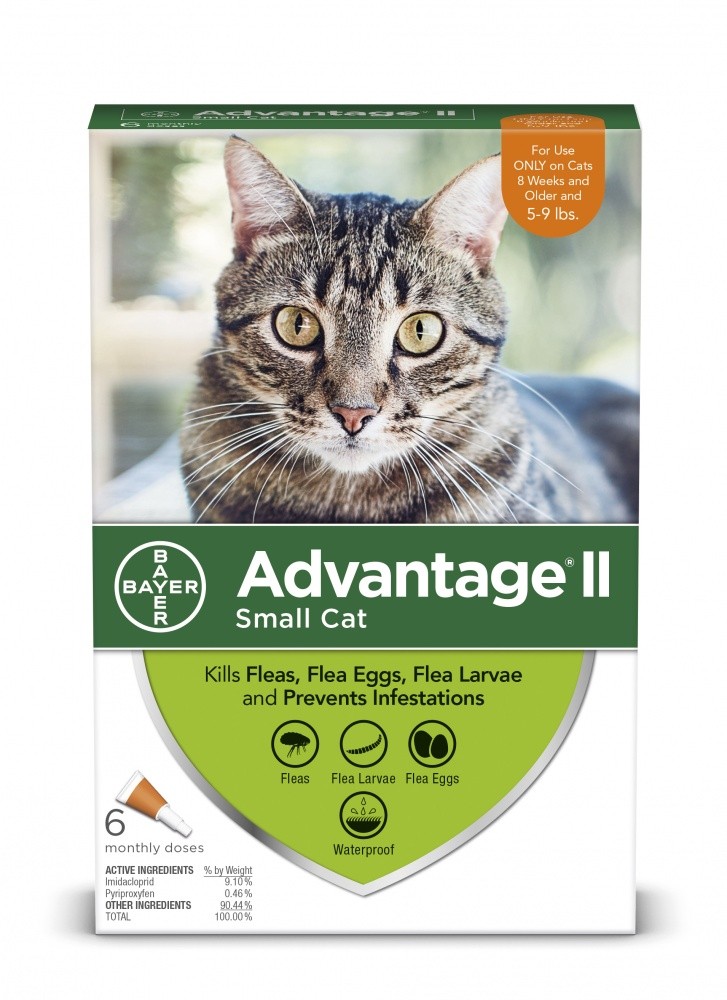 Elanco Advantage II Small Cat - 1 Month Dose - Intensery