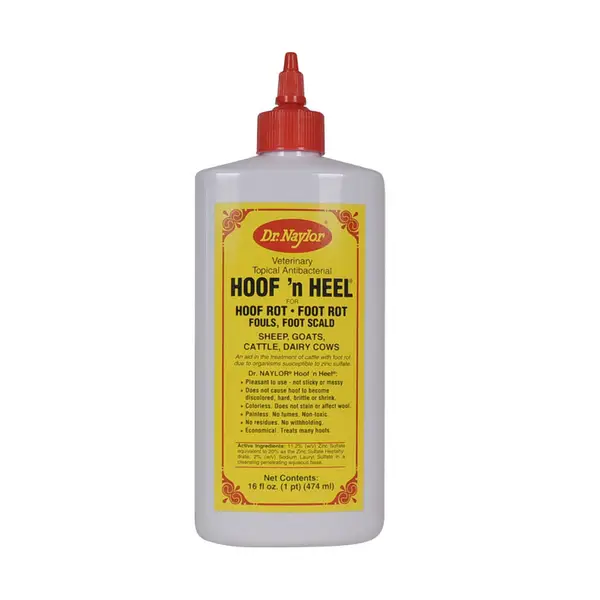 Dr. Naylor Hoof 'n Heel Foot Rot Treatment - Intensery