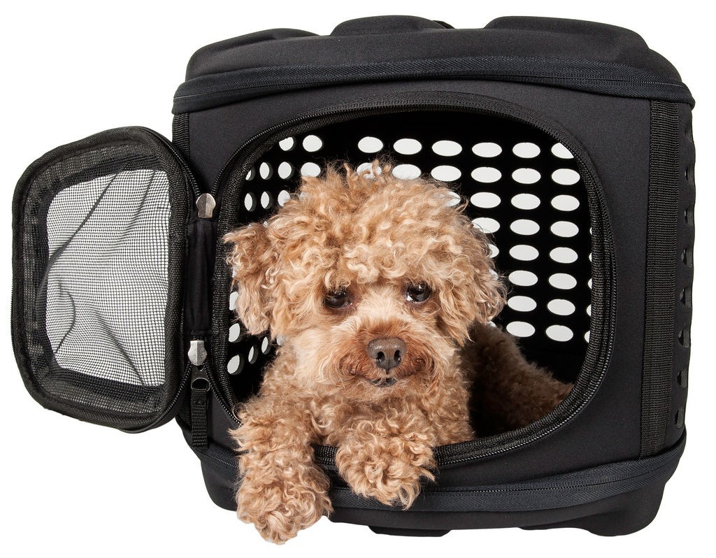 Pet Life Circular Shelled Perforate Lightweight Collapsible Military Grade Transporter Pet Carrier in Charcoal Black (One Size) - Pet Life B33BKMD - Intensery