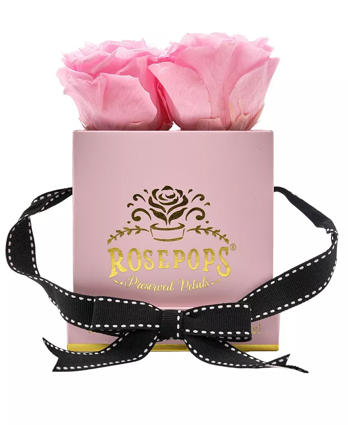 Rosepops Pop-Up Fourget Me Not Cotton Candy Pink Real Roses， Box of 4 - Intensery