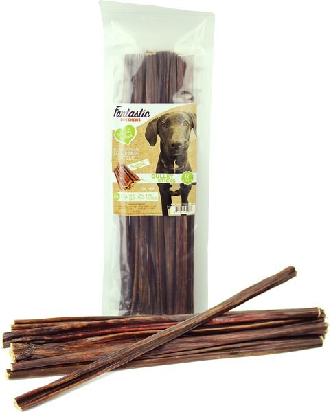 Fantastic Dog Chews 12\ - Intensery
