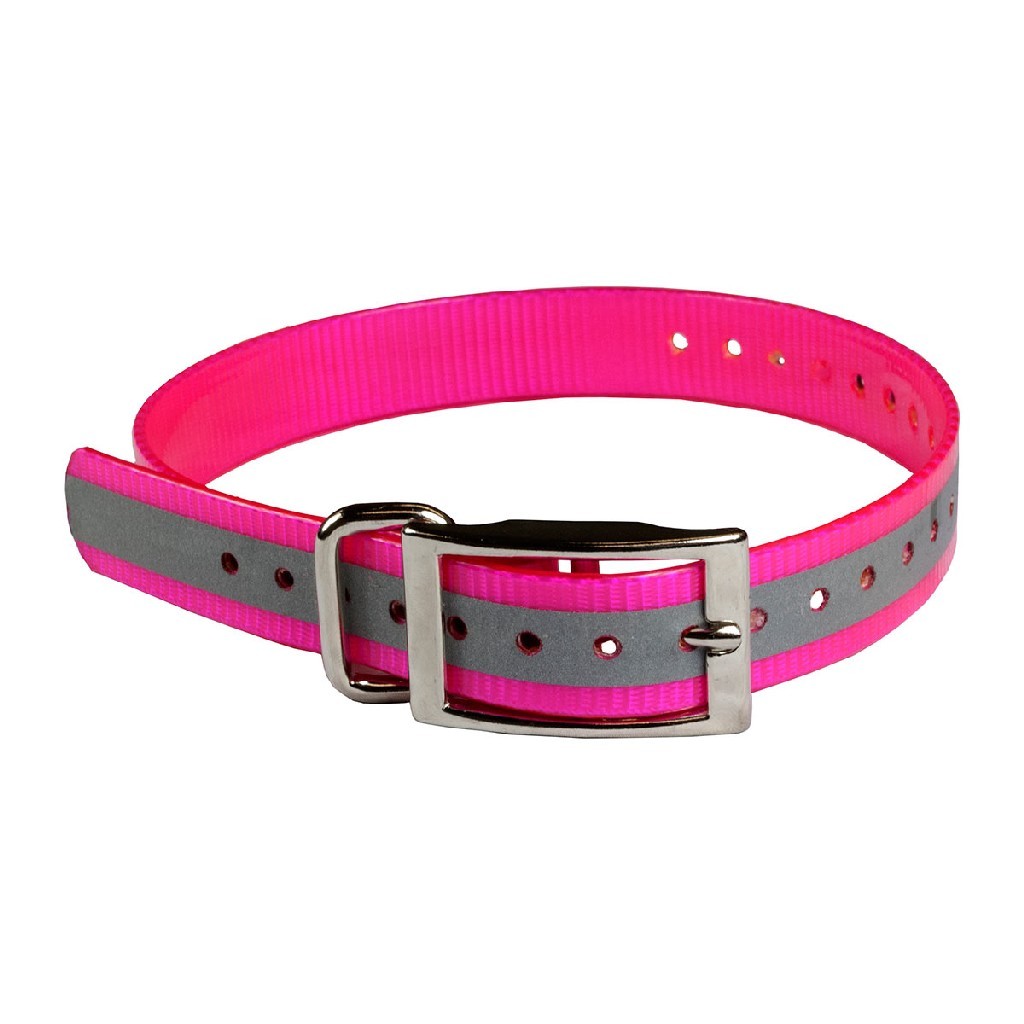 The Buzzard's Roost Reflective Collar Strap 1