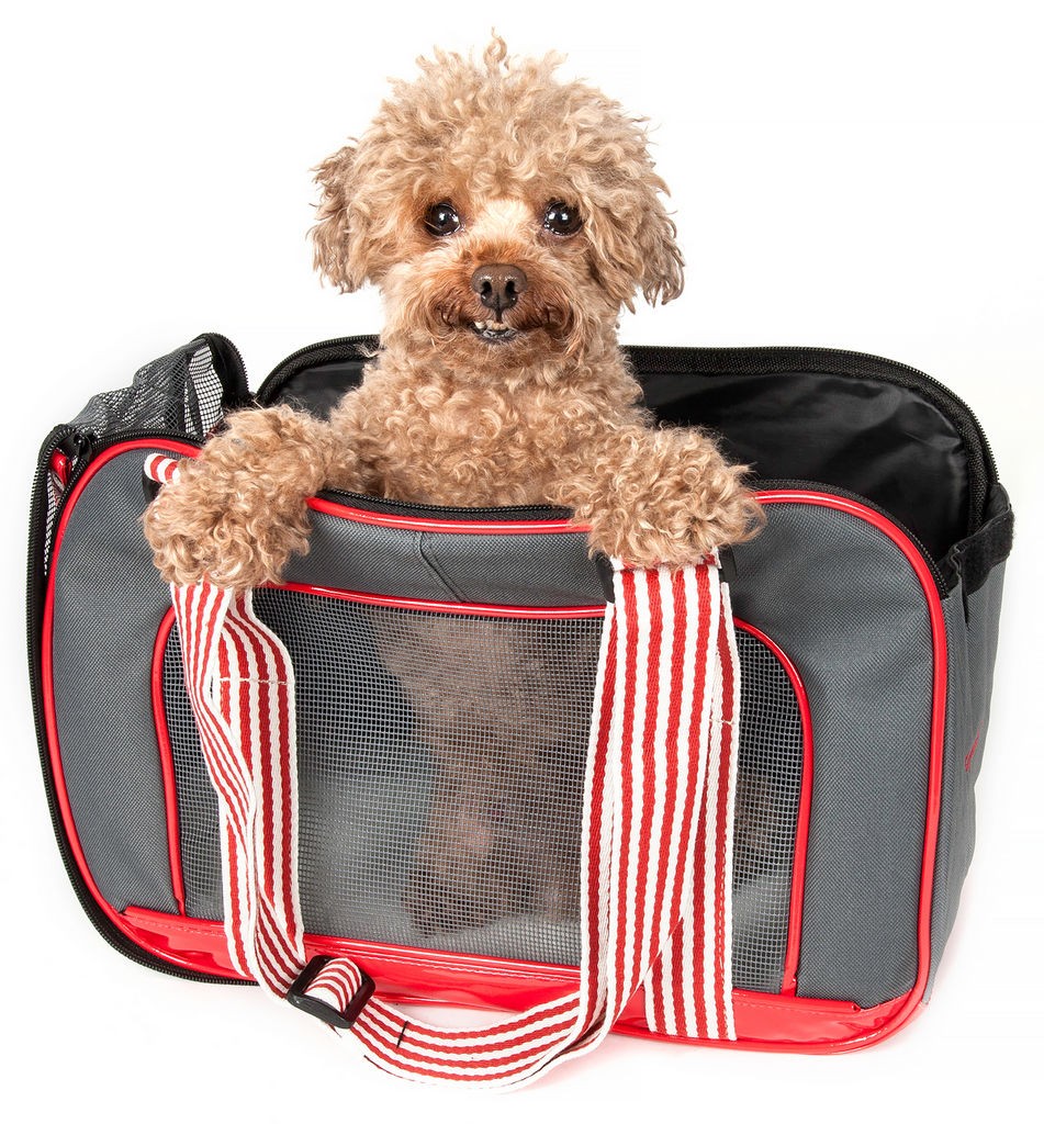 Pet Life Candy Cane' Fashion Pet Carrier in Grey/Red (One Size) - Pet Life B27GYMD - Intensery