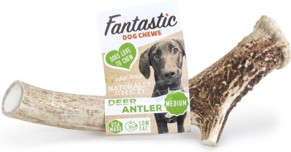 Fantastic Dog Chews Deer Antler Dog Treat - Intensery