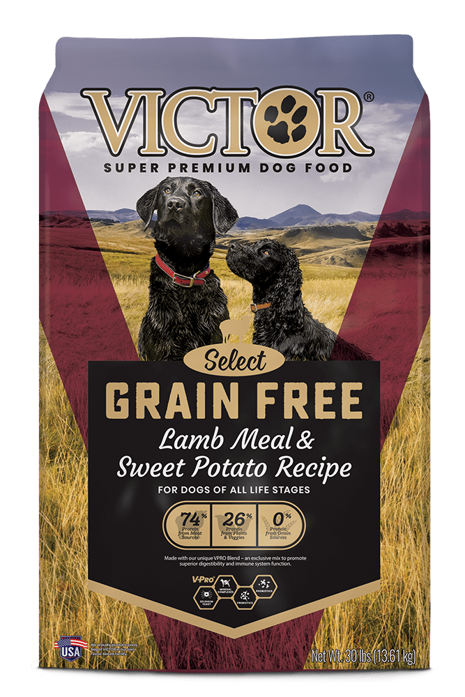 Victor Select Grain Free Lamb Meal and Sweet Potato Canine Recipe Dry Dog Food - 30 lb Bag - Intensery