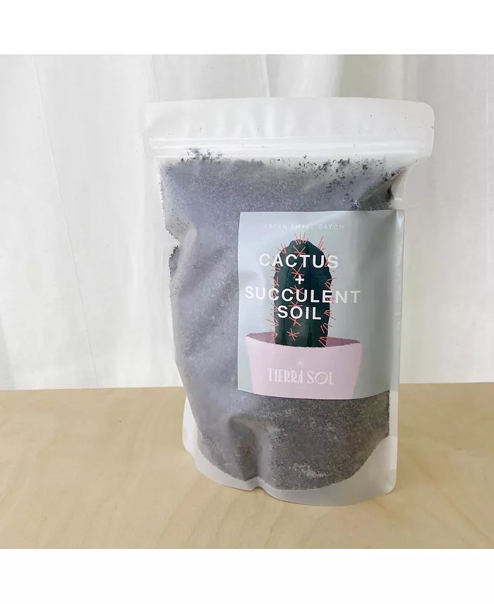Tierra Sol Studio Cactus and Succulent Soil 10x8 Bag - Intensery