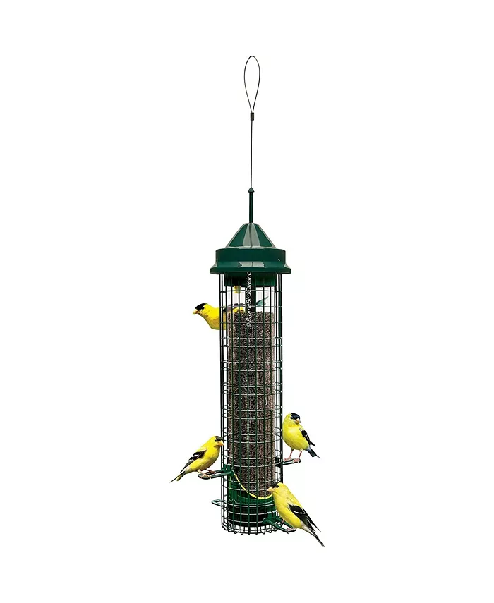 Squirrel Buster Classic Finch Squirrel-proof Bird Feeder - Intensery