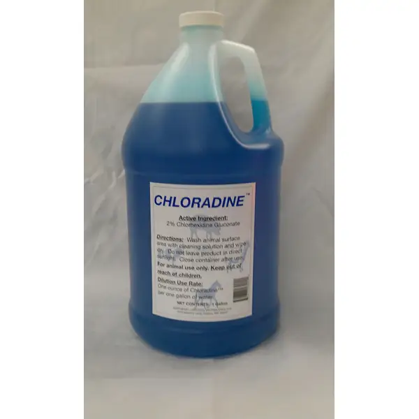 Merck Animal Health Chloradine Solution - Intensery