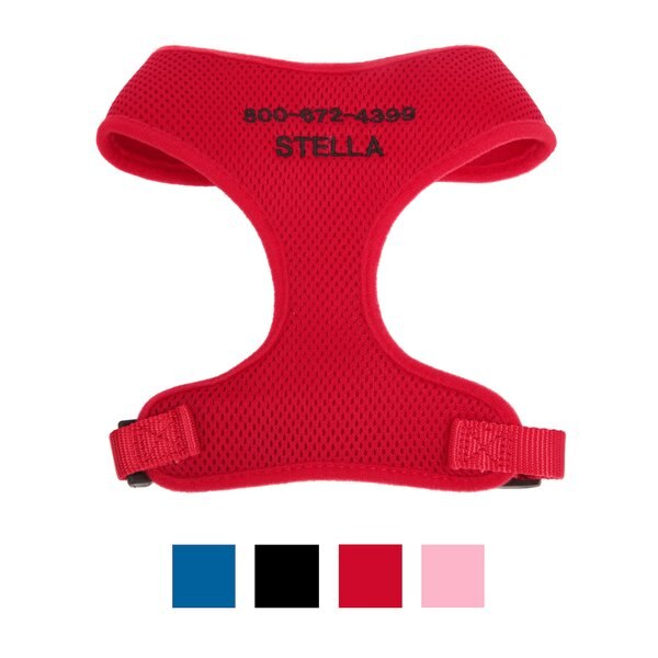 Frisco Small and Medium Breed Soft Mesh Personalized Back Clip Dog Harness - Intensery