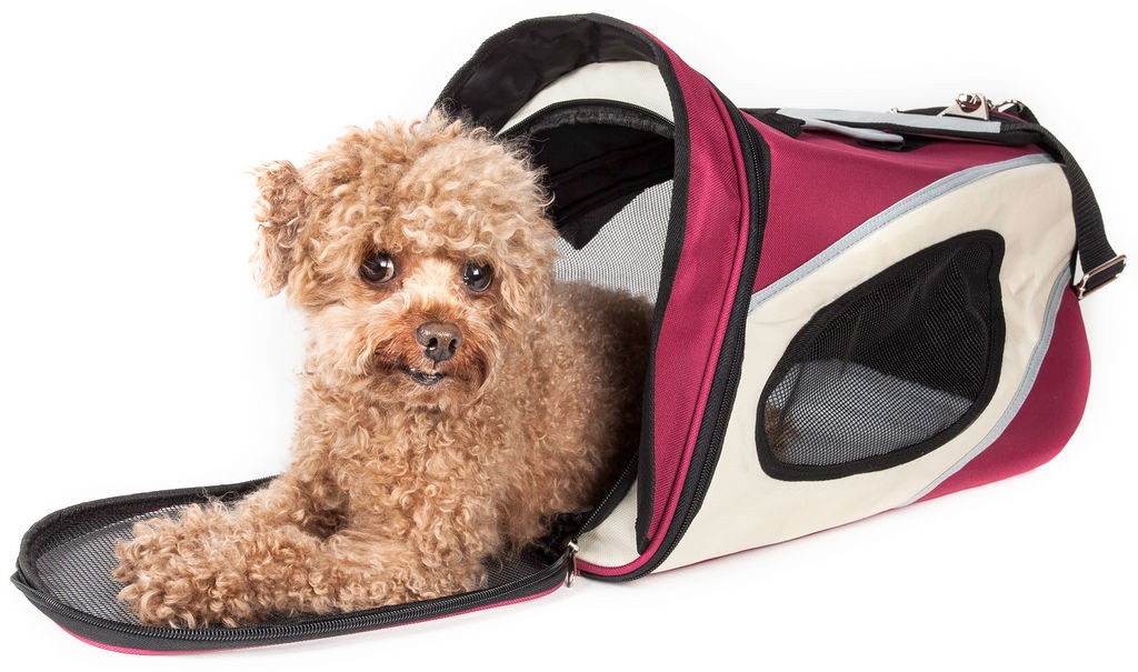 Pet Life Airline Approved Phenom-Air Collapsible Pet Carrier in Red， White (One Size) - Pet Life B38DRDLG - Intensery