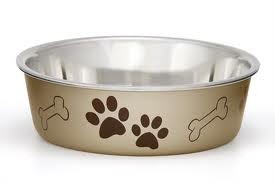 Loving Pets Champage Bella Bowl - Medium - Intensery