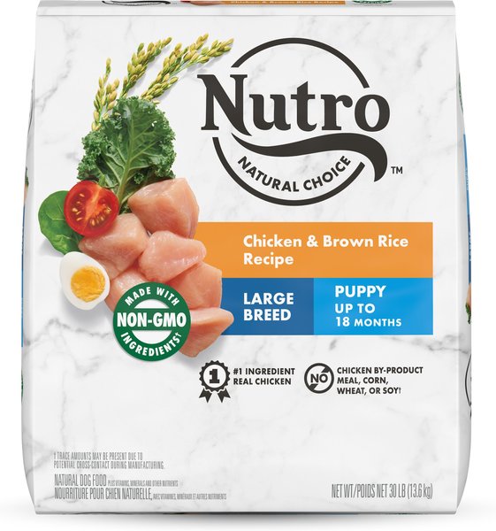 Nutro Natural Choice Large Breed Puppy Chicken and Brown Rice Recipe Dry Dog Food - Intensery