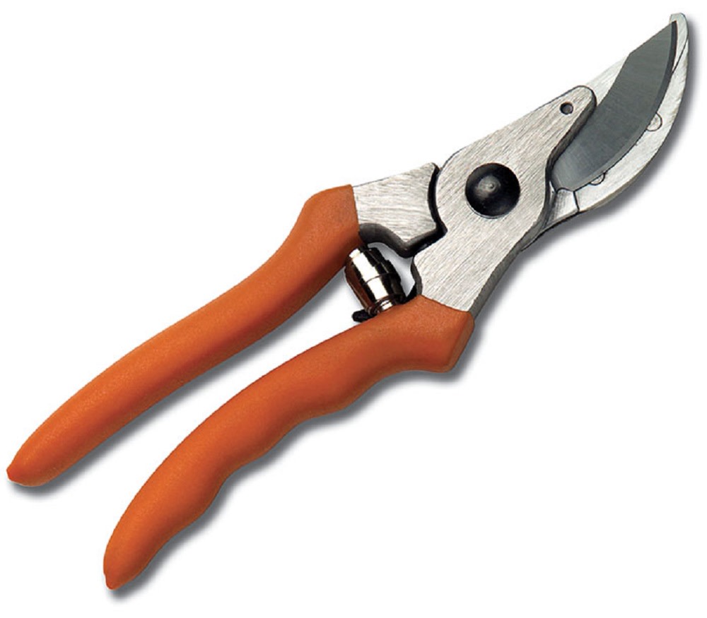 PP 10 Hand Pruner - Intensery