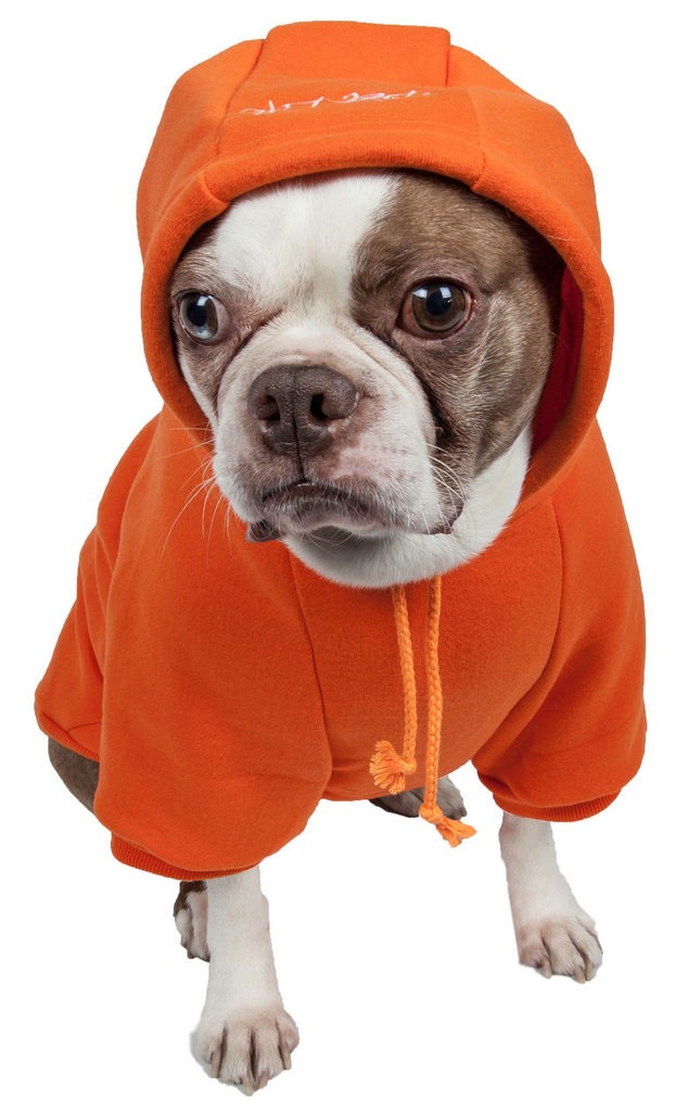 Pet Life Fashion Plush Cotton Pet Hoodie Hooded Sweater in Orange (X-Small) - Pet Life HD1ORXS - Intensery