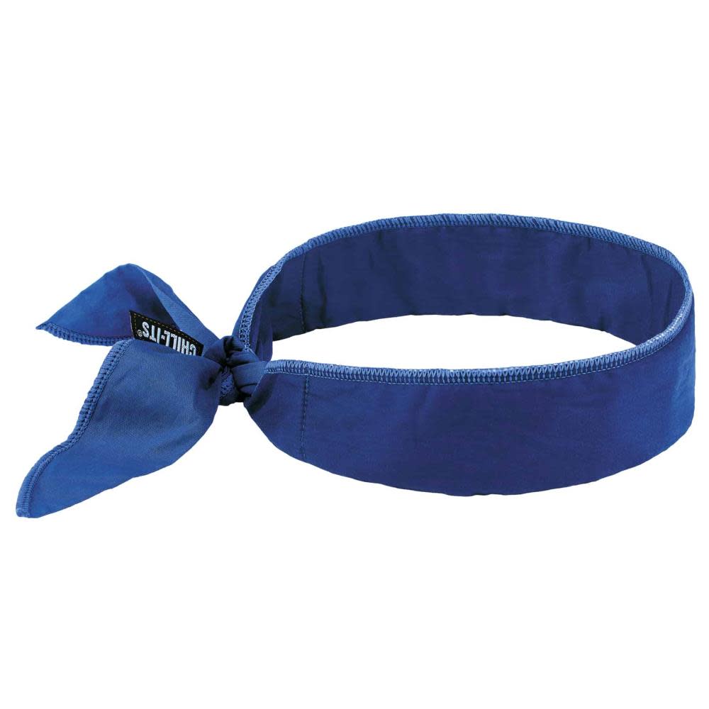 Ergodyne Chill Its 6702 Cooling Bandana Blue - Intensery