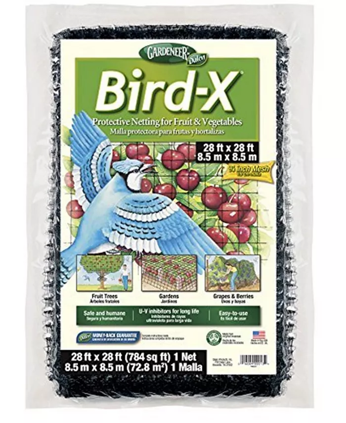 Gardeneer by Dalen Gardeneer Dalen Bird-X Protective Netting 28ft x 28ft 1 Pack - Intensery