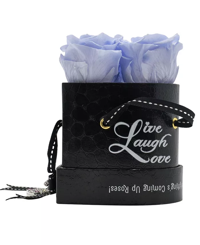 Rosepops Pop-Up Live， Laugh， Love Heart Shaped Lavender Sachet Real Roses， Box of 3 - Intensery