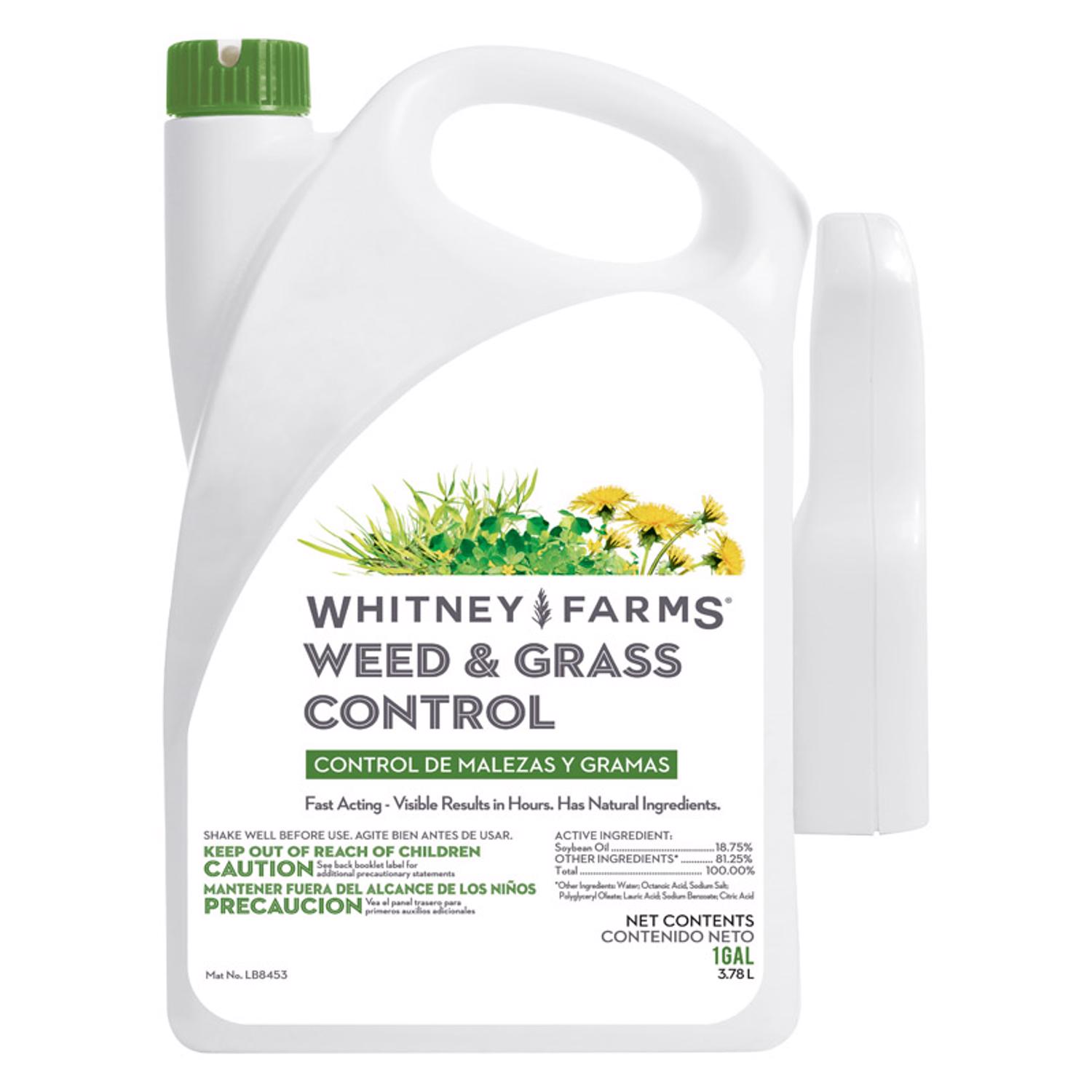 Whitney Farms Weed and Grass Control RTU Liquid 1 gal - Intensery