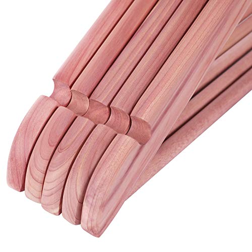 SONGMICS Children's Hangers with Pants BarPink/10 Packs - Intensery