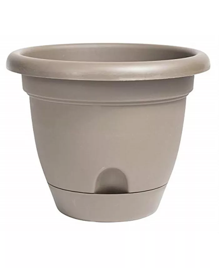 Bloem Lucca Plastic Self-Watering Planter w  Saucer， Pebble Stone Color， 6 inches - Intensery