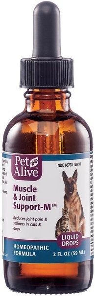 PetAlive Muscle and Joint Support-M Homeopathic Medicine for Joint Pain/Arthritis for Dogs and Cats， 2-oz bottle - Intensery