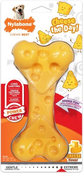 Nylabone DuraChew Cheese Bone Dog Chew Toy - Intensery