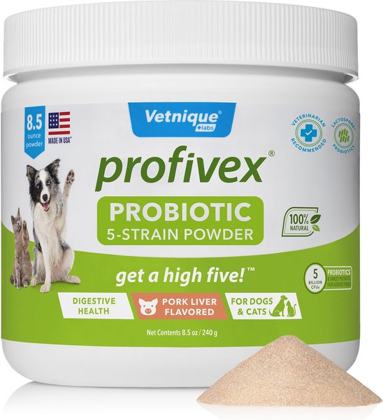 Vetnique Labs Profivex Probiotics 5-Strain Pork Flavored Powder Digestive Supplement for Dogs and Cats - Intensery