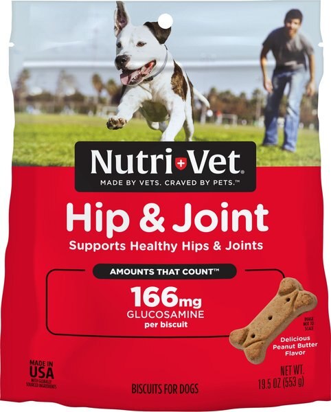 Nutri-Vet Hip and Joint Regular Strength Biscuits for Small and Medium Dogs Peanut Butter Flavor Treats - Intensery