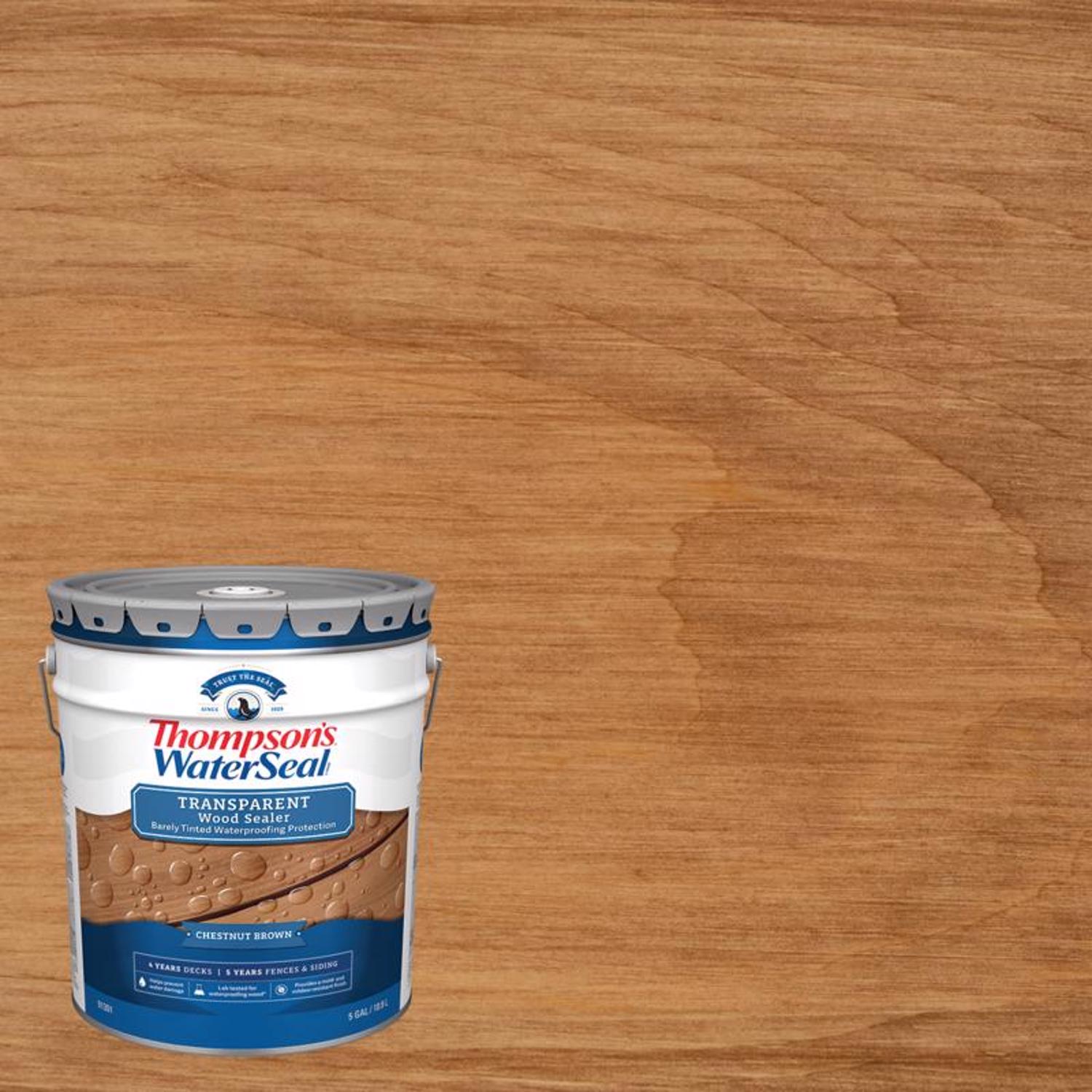 Thompson\u0027s WaterSeal Transparent Chestnut Brown Waterproofing Wood Stain and Sealer 5 gal - Intensery