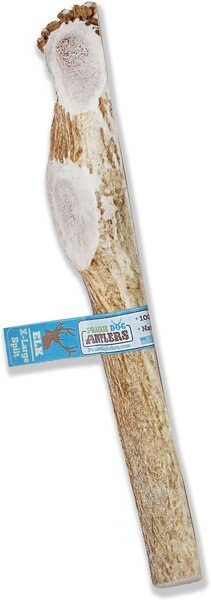Prairie Dog Split Elk Antler Dog Chews， 9.5 - 10.5 inch - Intensery